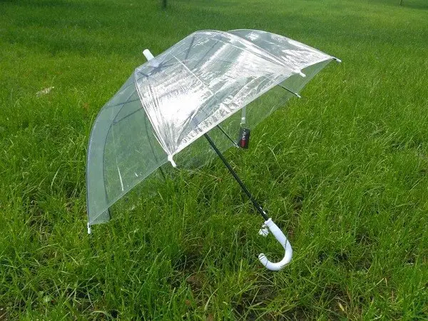 Kupolo formos skėtis