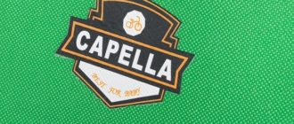 "Capella" vaikiški dviračiai - privalumai ir trūkumai, pasirinkimo patarimai