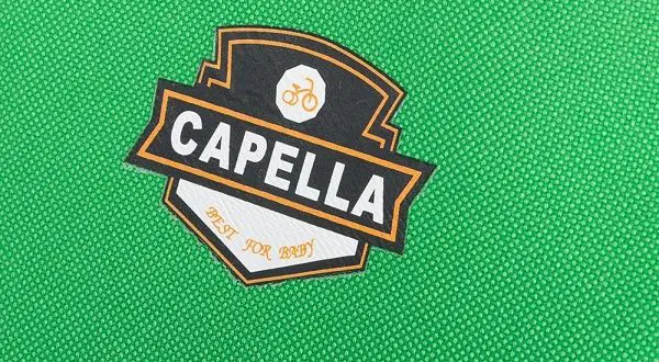 "Capella" vaikiški dviračiai - privalumai ir trūkumai, pasirinkimo patarimai