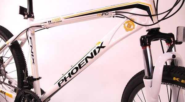 "Phoenix" dviratis - privalumai ir trūkumai, pasirinkimo patarimai
